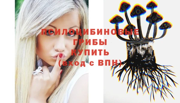 Альфа ПВП Магас