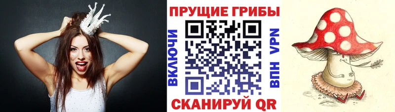 Галлюциногенные грибы прущие грибы  мега как зайти  Новая Усмань  где купить наркотик 